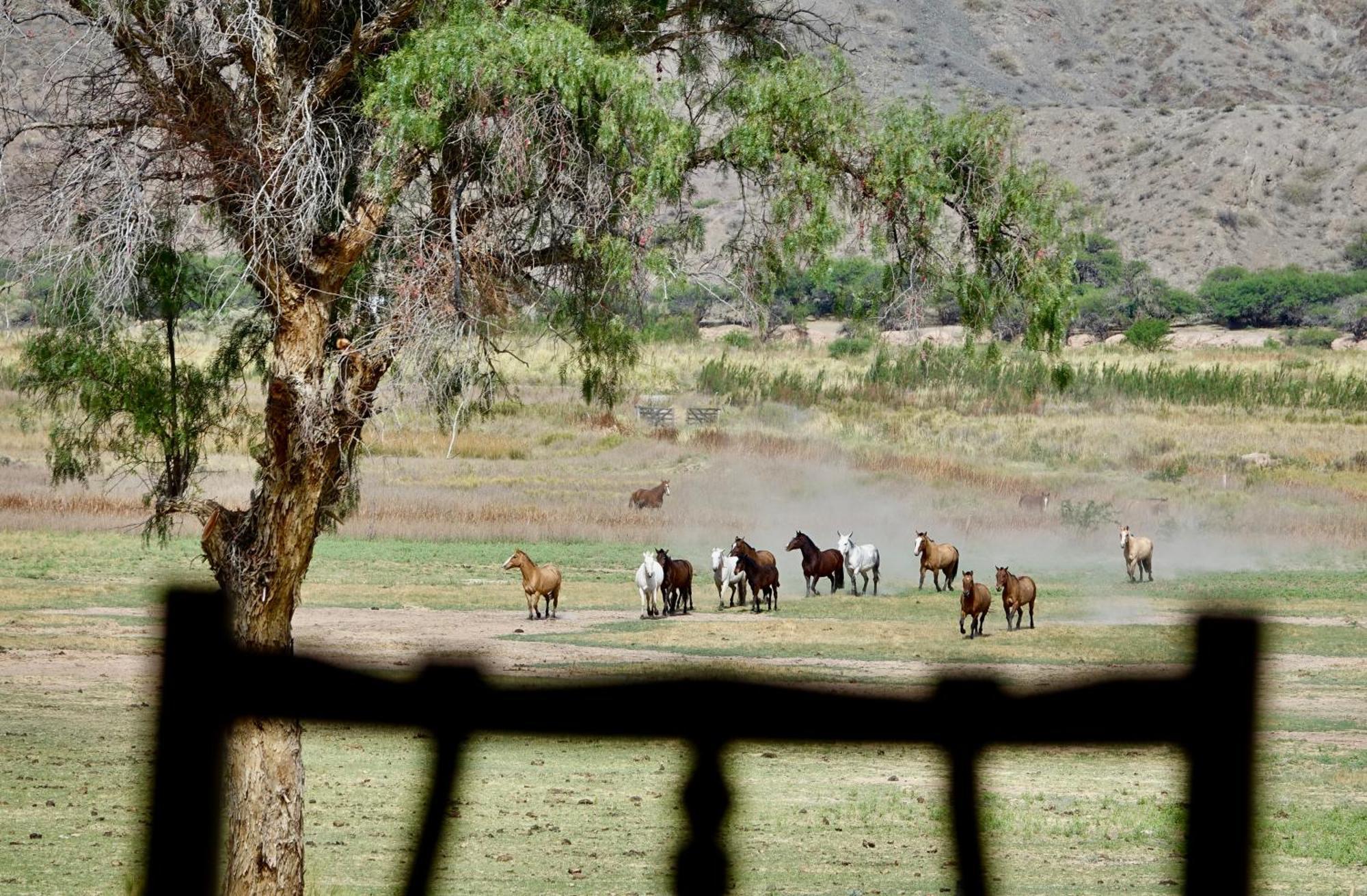 Estancia Banda Grande - Horse & Hiking Safaris Molinos Exterior photo